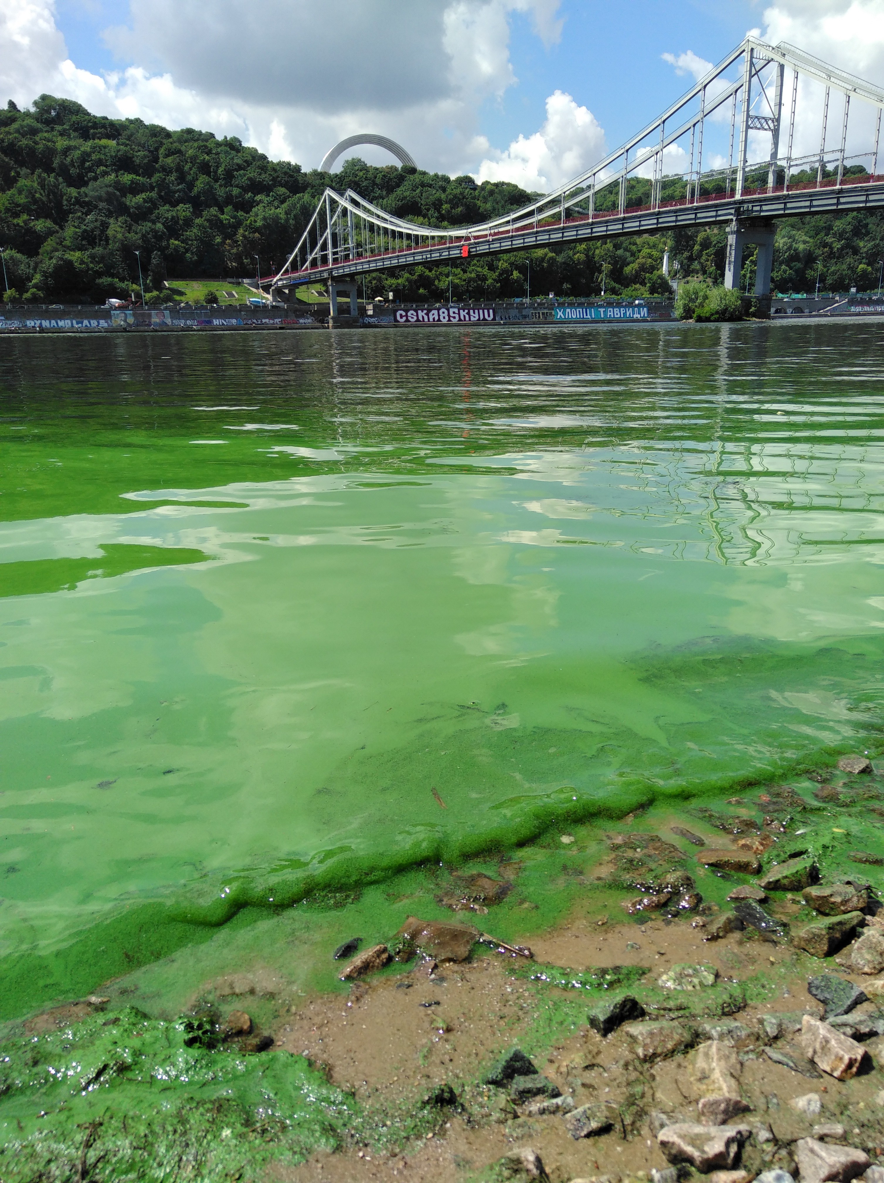 Зеленая река. Зеленая вода в реке Днепр. Река Днепр. Днепр река вода. Река Днепр цветёт.